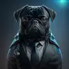 user8828882802523 - @freddtown - TikTok