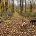 Fred Cusimano Westside Overland Trail - Facebook