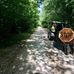 Fred Meijer CIS Trail -Fowler - Facebook