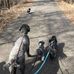 Fred Meijer Heartland Trail, Alma, MI - Facebook