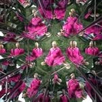Fred Trawick - @fredtrawick - Instagram