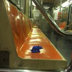 Fred the Triceratops - @fredthetriceratops - Instagram
