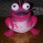 fred - @fred_true_frog - Instagram