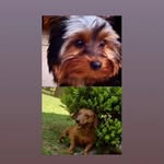 @fred_tutti_ - Instagram