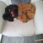 Fred Tyrer - @fredtyrer - Instagram