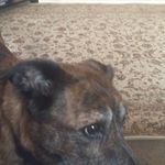Fred Tyrrell - @fred.tyrrell.5 - Instagram