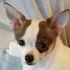 Fred Duel - @fredduel - TikTok