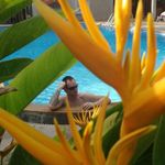 Fred Urban - @urban2770 - Instagram