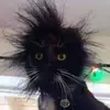 Fred Valentin Cimber - @fred.valentin.cim - TikTok