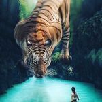 Fred Valentin Pereira - @2.2fred - Instagram
