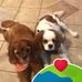 Fred Valentine - Facebook