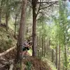 freddruiz283 - @freddvalles - TikTok