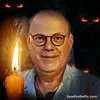 fredvangemmert - @fredvangemmert - TikTok