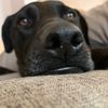 Fred - @fred.vaughan - TikTok