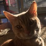 Fred Vaughan - @fredvaughan_private - Instagram