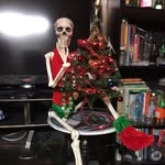 Fred Vickers - @poorfred - Instagram