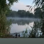 Freddie Vickers - @freds_fish - Instagram