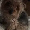 Fred Vierra - @fredvierra - TikTok