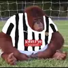 FreddieWakelin09 - @freddie.w09 - TikTok