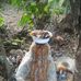 Fred Warwick - Facebook
