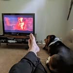 Fred Watson - @fredwatson455 - Instagram