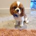 Freddie Weeks - Facebook