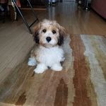Frederick Wellman - @wellmanfrederick - Instagram