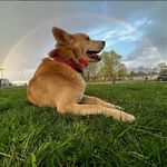 Fred Wellman - @fred_w4612 - Instagram