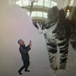 Fred Wessels - @fredwessels - Instagram