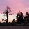 fredwesterhold - @fredwesterhold - TikTok
