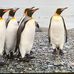 Fred Whelan - Facebook