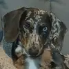 Freda Whelan - @freda.whelan - TikTok