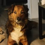 Fred Whitaker Jr. - @whitakerjr.fred - Instagram