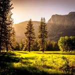 FredWhitaker - @fredwhitaker187 - Instagram