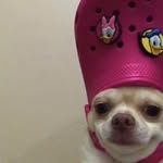 Fred Whitehouse - @uk.frxdzz - Instagram