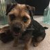 Freddie Whiteside - Facebook