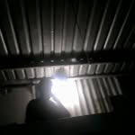 fred whitman - @fwhitman647 - Instagram