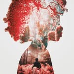 Fred Whitman - @f.whitman - Instagram