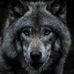 Alfred Whitson - Facebook