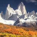 @fred_whitton1 - Instagram