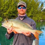 Fred Wickert - @fredwickert - Instagram