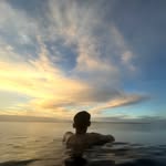 Freddie - @freddie.wicks - Instagram