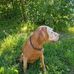 Fred Widmer - Facebook