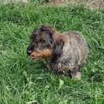 Fred Widmer - @alfredwidmer53 - Instagram