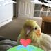 Freddie Willmer - Facebook