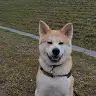 Fred Wiese - @fredwiese - TikTok