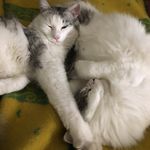 Fred Wilbur and George Murphy - @fred.andgeorge - Instagram