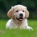 Frederick Wilbur - Facebook