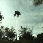 @fred_wilk.6 - Instagram