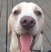 Fred Wilkes - Facebook
